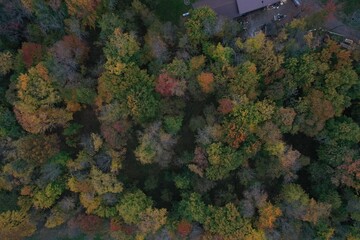 Northern Wisconsin Fall Colors Aerial View Top Down