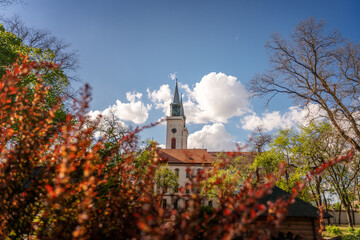 St. Stephen's Cathedral in the city of Sombor Serbia. Beautiful landscape. Journey to Serbia and the Balkan countries - obrazy, fototapety, plakaty