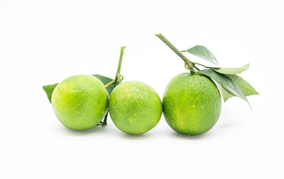 Green mandarines isolated on white background.