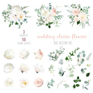 Blush pink rose and sage greenery, ivory peony, magnolia, beige dahlia, ranunculus flowers, eucalyptus vector collection.