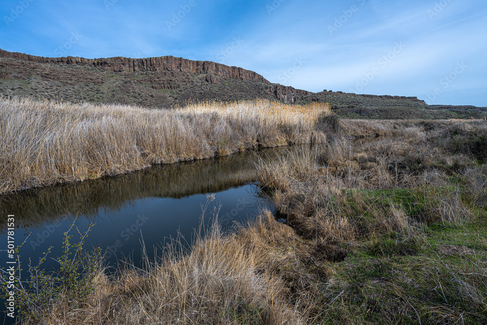 Wall mural Along the Crab Creek Trail in the Columbia National Wildlife Refuge, WA