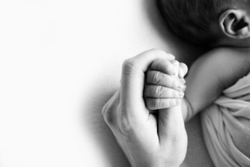 The hand of a sleeping newborn in the hand of mother and father close-up. Tiny fingers of a newborn. The family is holding hands. Studio macro photography. Concepts of family and love. Black white. 