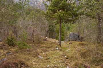 hiking path in the mountains with waystone, Italy
