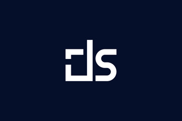 DS Letter Logo Design. Creative Modern D S  Letters icon vector Illustration.