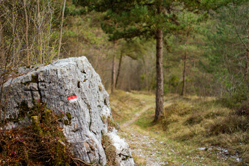 waystone on a mountain trail, Italy