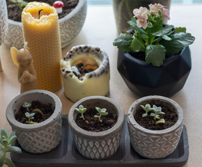 decoration flowers, candle at office 