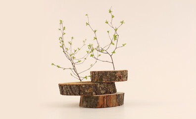 Wooden eco rustic wood circle disc platform podium and leaf twig on light background. Minimal empty...