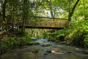 Fototapeta na wymiar Wooden footbridge in Stanislaus fountain park