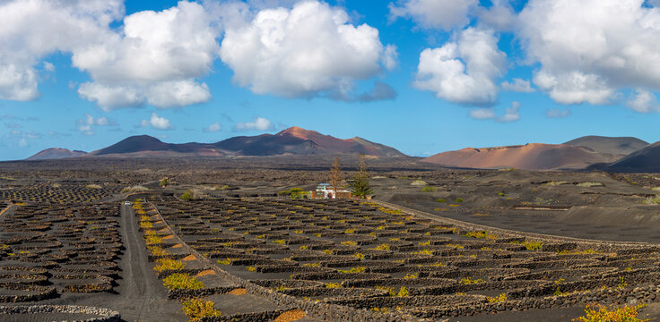 Panorama of volcanic vineyards and Timanfaya National Park, Spain