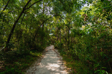 Fototapeta na wymiar Walking nature trail at Sanlando recreation park in Altamonte Springs, a suburb of Metro Orlando in Florida