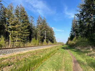 Fototapeta na wymiar MTB track next to train track in forest around Ommen