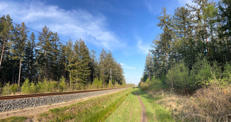 Fototapeta na wymiar Panorama from MTB track next to train track in forest