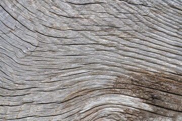 Old and cracked wood background or texture