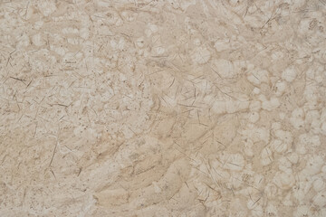 Wet surface of limestone rock with fine cracks.