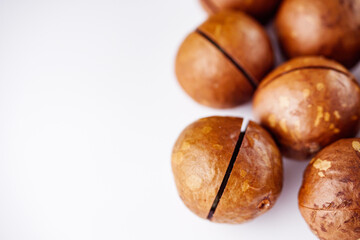 fresh macadamia nuts on a white acrylic background
