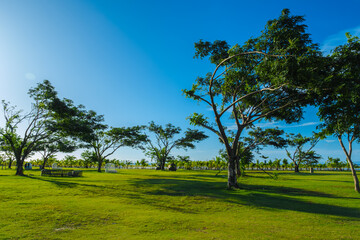 Beautiful garden landscape with scattered trees in the field