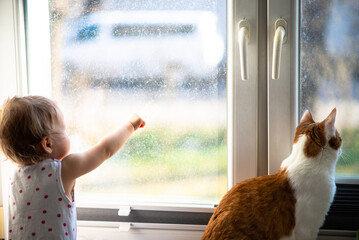 baby girl and ginger cat looking through the window at sunny day, natural dirty glass background - obrazy, fototapety, plakaty