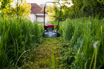 Freshly trimmed deep grass and out of focus lawn mower, sunny spring afternoon on countryside, low...