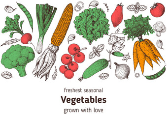 Vegetables hand drawn illustration. Top view frame. Vintage hand drawn sketch. Organic food poster. Good nutrition, healthy food. Vector illustration. Corn, tomato, carrot, broccoli, radish, lettuce