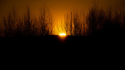orange sunset behind a mountain covered with trees