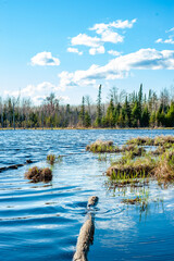 Lake View