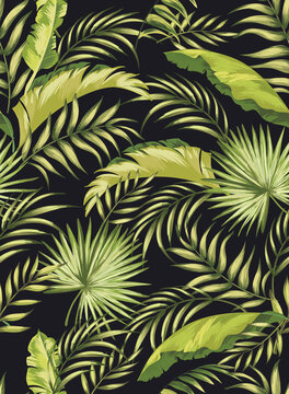 Green tropical palm leaves seamless vector pattern on the black background.Trendy summer print.	