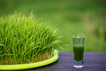 Healthy organic green detox juice from grass of green germinated wheat grains, close up