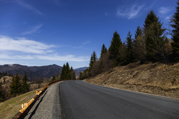 Empty road near spruce trees in mountains.