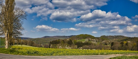 Eine bl&uuml;hendes Landschaftpanorama bei Meimers.