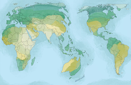 world map