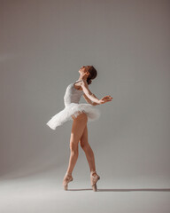 classic ballet posing. young slim dancer, fit girl ballerina stands in white ballet tutu like white...