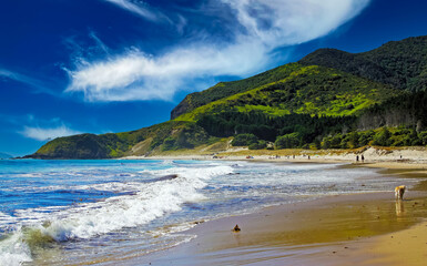 Fototapeta na wymiar Idyllic lagoon with beautiful sand beach, waves, green mountains, blue summer sky - Pataua, New Zealand