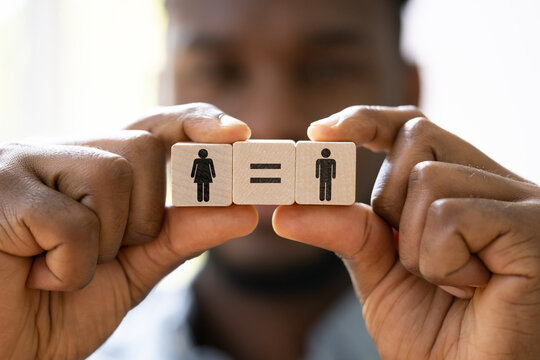 Gender Equality And Parity Law