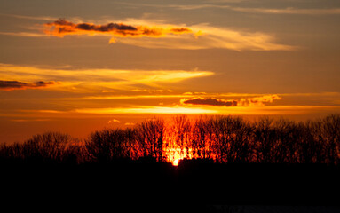 Fototapeta premium Sunset. Natural real background with the last rays of the sun cloud. Colorful sky with sundown through the forest silhouette. The last of the late rays of the sun.