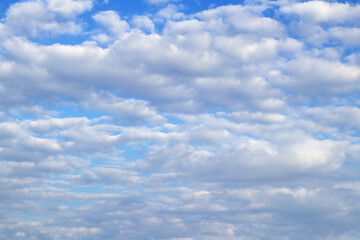 White clouds in the blue sky. Plain cloudy day.