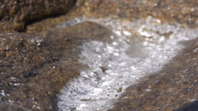 Dry saline soil stone surface with salt stain.