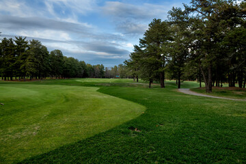 View of the golf course and pine trees.