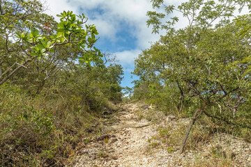 natural landscape in the city of São Gonçalo do Rio Preto, State of Minas Gerais, Brazil