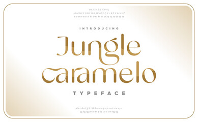 Classic typography serif font. Uppercase, lowercase, ligatures, ampersand, alternate, and number. Vector illustration word. Lettering Minimal Fashion Designs Romance Elegant. 