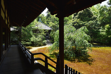 青蓮院　宸殿から本堂を望む　京都市東山区粟田口