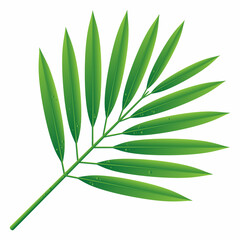 green leaf isolated on white background	