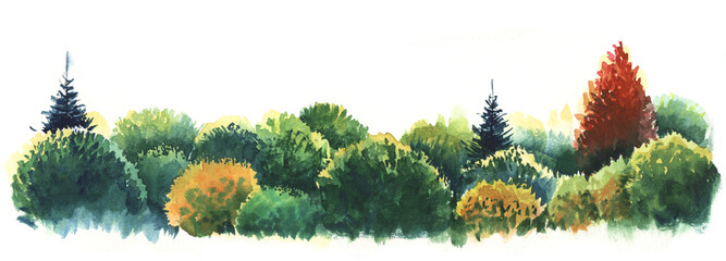 Tops of trees and bushes. Top view autumn mixed forest. green red orange leaves. Landscape decorative border element. Hand painted watercolor illustration. Colorful drawing on white paper background