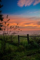 Sunrise over a field