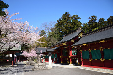 Fototapeta premium 志波彦神社