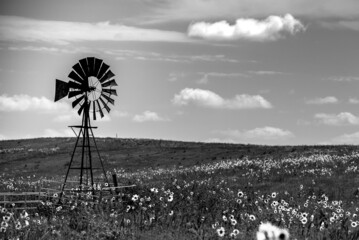 A Vintage Windmill Stands Overlooking a Summer Field of Flowers in Nebraska
