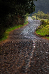 Cobblestone Road in Ecuador Outside of the Cotopaxi National Park