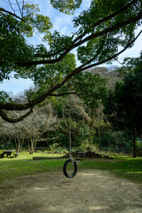 古タイヤを使った手作りのブランコ