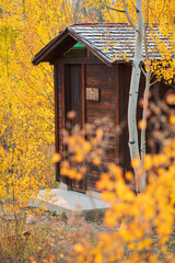 A Women's Outhouse at a Campsite in Colorado in Fall with the Aspens in Gold