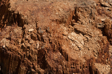 background of a decomposing tree stump