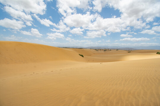 Medanos de Coro, Dunas de Venezuela